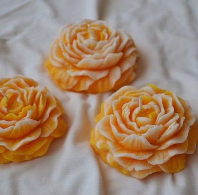 Bougie pivoine orange - citron meringué