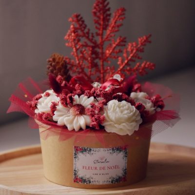 Bouquet hivernal ❄️ fleur de Noël