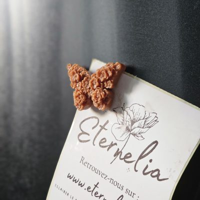 Aimant parfumé vanille des îles marron